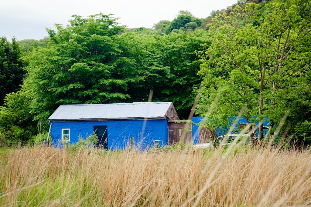 The Snowdon Inn - Y Fricsan Cwm-y-glo Exteriör bild