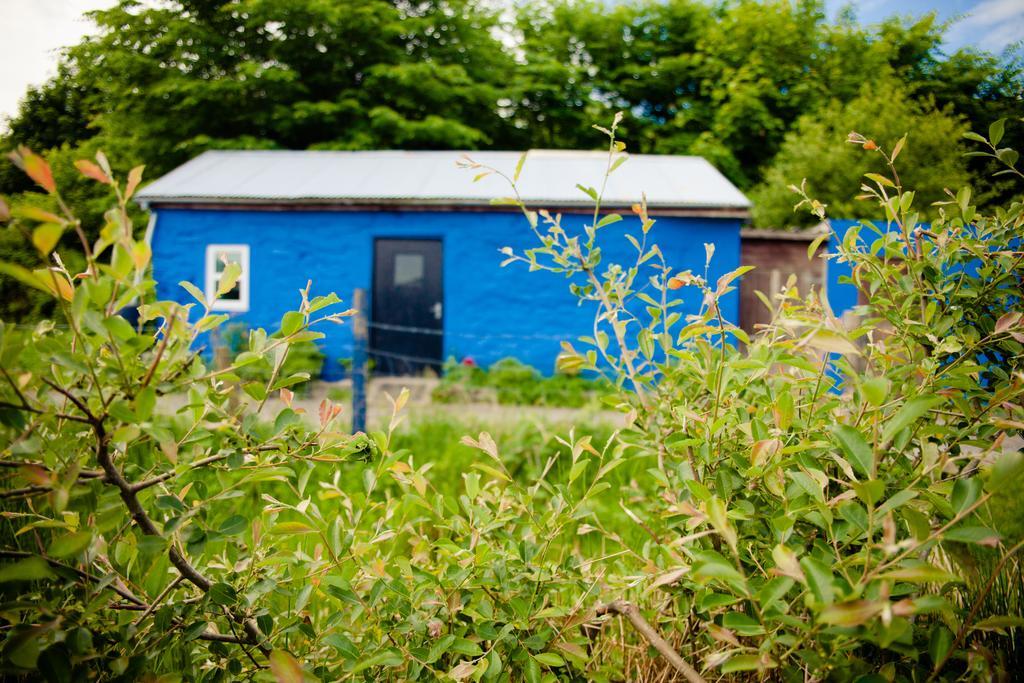 The Snowdon Inn - Y Fricsan Cwm-y-glo Rum bild